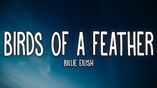 Billie Eilish  BIRDS OF A FEATHER Lyrics [upl. by Etnohc]