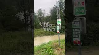 💥 Traun führt Hochwasser [upl. by Olimac]