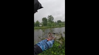 BEST Time to Fish IS in the Rain fishing bass youtubeshorts youtube fish [upl. by Ilime]