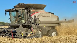 GLEANER S97 Combine Harvesting Wheat [upl. by Benedicto7]