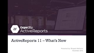 ActiveReports 11  Whats New [upl. by Nerat959]