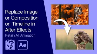 Replace Image or Composition on Timeline in After Effects Retain All Animation [upl. by Nolana]