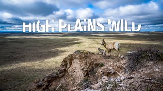 High Plains Wild I Full Documentary [upl. by Saturday]