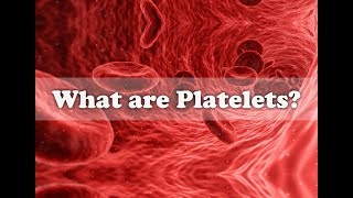 Human Body  What are Platelets and How they work [upl. by Eidnil]