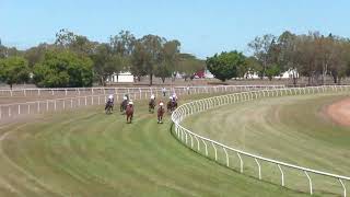 Mareeba 20240831 Race 1 [upl. by Polak]