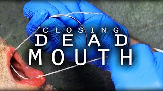 How To Stitch a Dead Mouth Shut [upl. by Davina650]