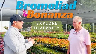 Bromeliad Bonanza Exploring Diversity Growth Stages and Ground Cover Varieties [upl. by Jat]