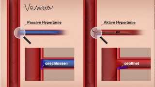 Aktive und Passive Hyperämie Manuelle Lymphdrainage [upl. by Aikemat]