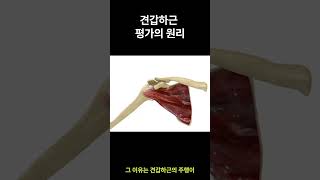 견갑하근 검사법 The Subscapularis Test A Howto Guide [upl. by Loredo]