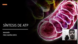 METABOLISMO SÍNTESIS DE ATP [upl. by Ahsiak]