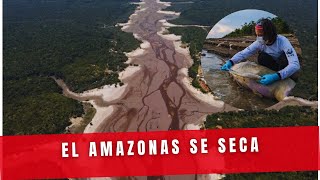 El AMAZONAS se seca como NUNCA antes [upl. by Ysnap913]