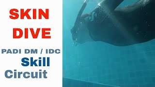 PADI Skill Circuit  Skin Dive Skill PADI IDC amp Divemaster Skills Circuit [upl. by Sito]