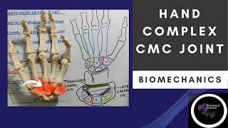 CARPO METACARPAL JOINT  HAND COMPLEX BIOMECHANICSPhysiotherapy [upl. by Burney213]