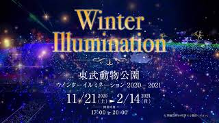 【Kiramune×東武動物公園】『Kiramune Illumination in TOBUZOO』開催中！ [upl. by Hosea]