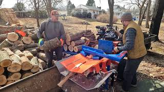 Eastonmade 1222 splitting Shagbark Hickory [upl. by Locin692]