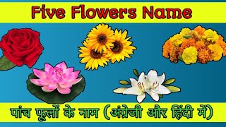 Five flowers name  पांच फूलों के नाम । अंग्रेजी और हिंदी में with picture [upl. by Rodl89]