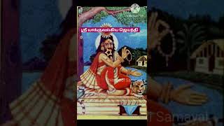 ஶ்ரீ யாக்ஞவல்கிய ஜெயந்தி  Sri Yajnavalkya Jayanthi 2024 shorts yajnavalkya shuklayajurveda [upl. by Ilarin]