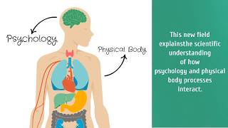 Dr Chris Bjorndal  Psychoneuroimmunology [upl. by Natfa861]