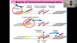 Immunochromatographic Assay or Technique I Guide to Immunochromatographic Assay [upl. by Eisor]