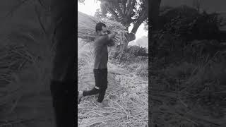 Gaon Mera mujhe yad aata Rahatrending hindisong old ganeyoutubeshorts [upl. by Kesia139]