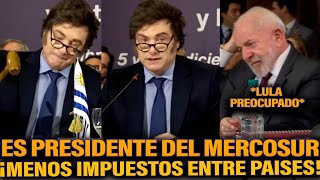 ¡MILEI TOMÓ LA PRESIDENCIA DEL MERCOSUR Y YA TIRÓ UNA BOMBA [upl. by Weinert]