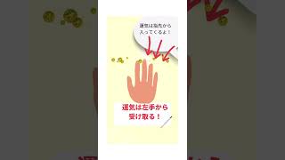 手相占いで金運アップ！手相家成城の母からの金運アップアドバイス！手相 占い師金運上昇 手相鑑定 人相short tesoutaki [upl. by Gillan]