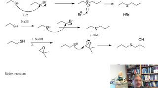 Reactions of thiols [upl. by Eceirtal199]