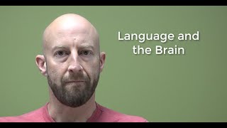 Psycholinguistics Language and the Brain [upl. by Pieter]