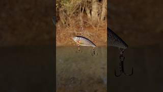 Crazy Fishing Lure🔥🎣 lure lurefishing fishing fishingvideo crazy pesca fish spinning shorts [upl. by Swan847]