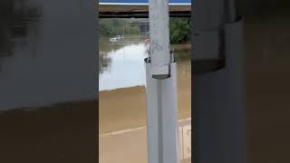 Maltempo a Bologna Alluvione Ecco la situazione domenica mattina a Borgo Panigale schorts [upl. by Malliw]