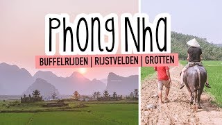 Reisvlog 14 Phong Nha met kinderen  Vietnam [upl. by Nauqan]