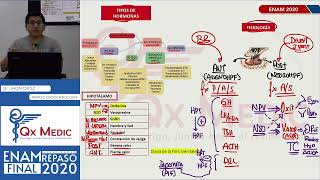 REPASO TEÓRICO  ENDOCRINOLOGÍA [upl. by Pytlik]