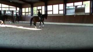 Klaus Balkenhol training Doreen Proos met Smile [upl. by Yarb]