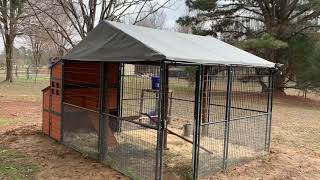 Producers Pride Defender Chicken Coop [upl. by Jaehne927]