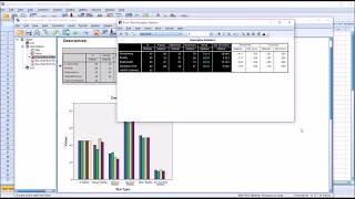 Calculating Descriptive Statistics in SPSS [upl. by Ardnoel9]