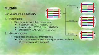 Mutaties puntmutaties en genoommutaties en tumoren [upl. by Boone]