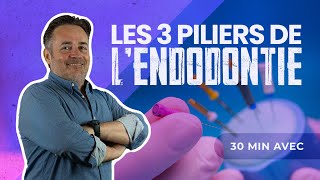 Les 3 piliers en ENDODONTIE 🦷 [upl. by Mloclam]