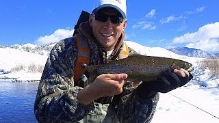 South Platte River Trout Fishing  Colorado [upl. by Llerraj]