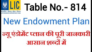 LIC NEW ENDOWMENT PLAN NO 814 IN HINDI  LIFE INSURANCE POLICY 814 IN HINDI 814 FULL DETAIL [upl. by Crista]