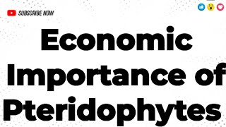 Economic Importance of Pteridophytes Pteridophytes botany Economic importance [upl. by Pris]