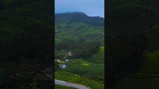 Gap road Munnar youtubeshorts travel tourist [upl. by Turne]