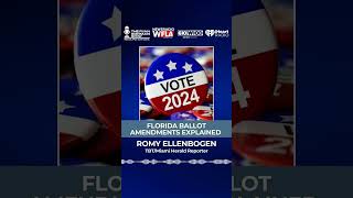 Florida Ballot Amendments Explained election2024 election [upl. by Yhtommit859]