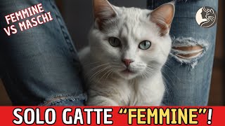 Le Cose Più Strane che Solo le Gatte Femmine Fanno per i Loro Umani [upl. by Johnna339]