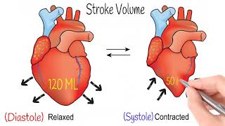 Cardiac Output amp Blood Pressure Hemodynamics Part 2 [upl. by Willis]