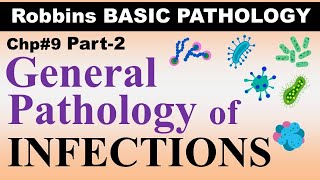 Chp9 Part2 Robbins Basic Patho  General Pathology of Infectious Diseases  Disease Transmission [upl. by Rumney]