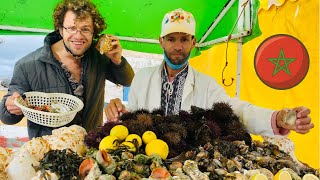 Eating RAW Seafood in Essaouira Morocco 🇲🇦 Morocco Travel [upl. by Ahsyek]