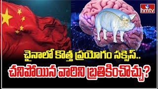 చైనాలో కొత్త ప్రయోగం సక్సెస్ చనిపోయిన వారిని బ్రతికించొచ్చు  China Technology  News Chips hmtv [upl. by Tannenwald]