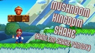 Mushroom Kingdom Shake Harlem Shake Parody [upl. by Adamski]