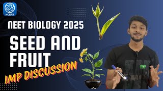 Seed and Fruit development for NEET 2025 Class 12th Botany amp important discussion [upl. by Aneeuqal]