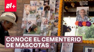 Así es el cementerio de mascotas de Querétaro Entierran desde perros hasta changos  N [upl. by Dhiren]